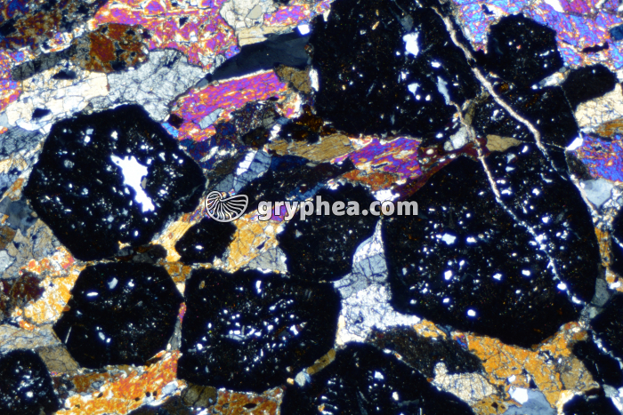 Eclogite LPA x6,3 - gryphea.org